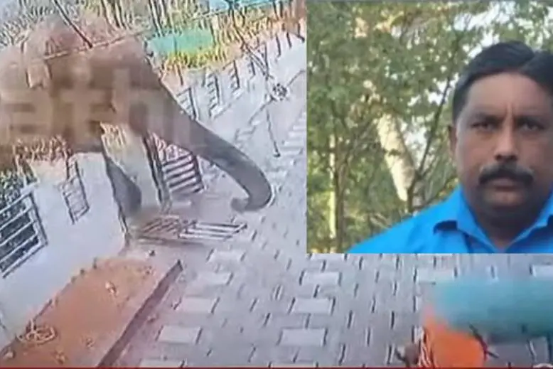 Wayanad jumbo attack: BJP, JD(S) attack Karnataka govt over compensation given to Ajeesh's kin