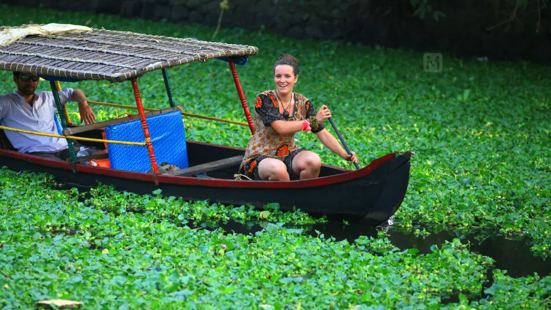 representative image | photo: p jayesh