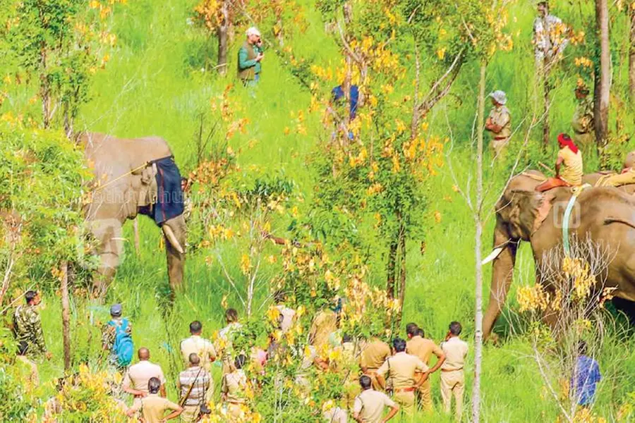 Amid protests, data shows decline in fatalities in Kerala in human-animal conflicts