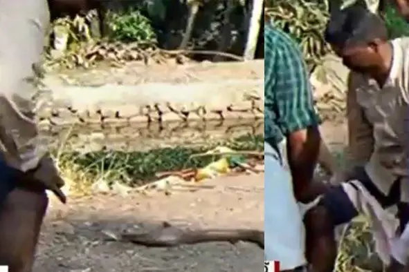 Visuals reveal Vava Suresh showing great courage as he pulls the snake and tends to his wounds