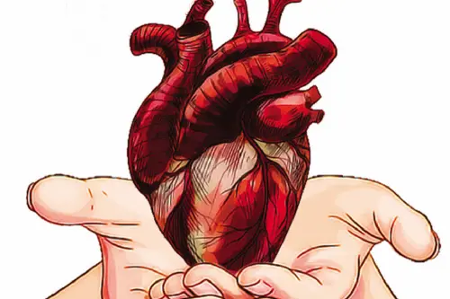 Mrithasanjeevani insufficient to address demand for organ transplants in Kerala