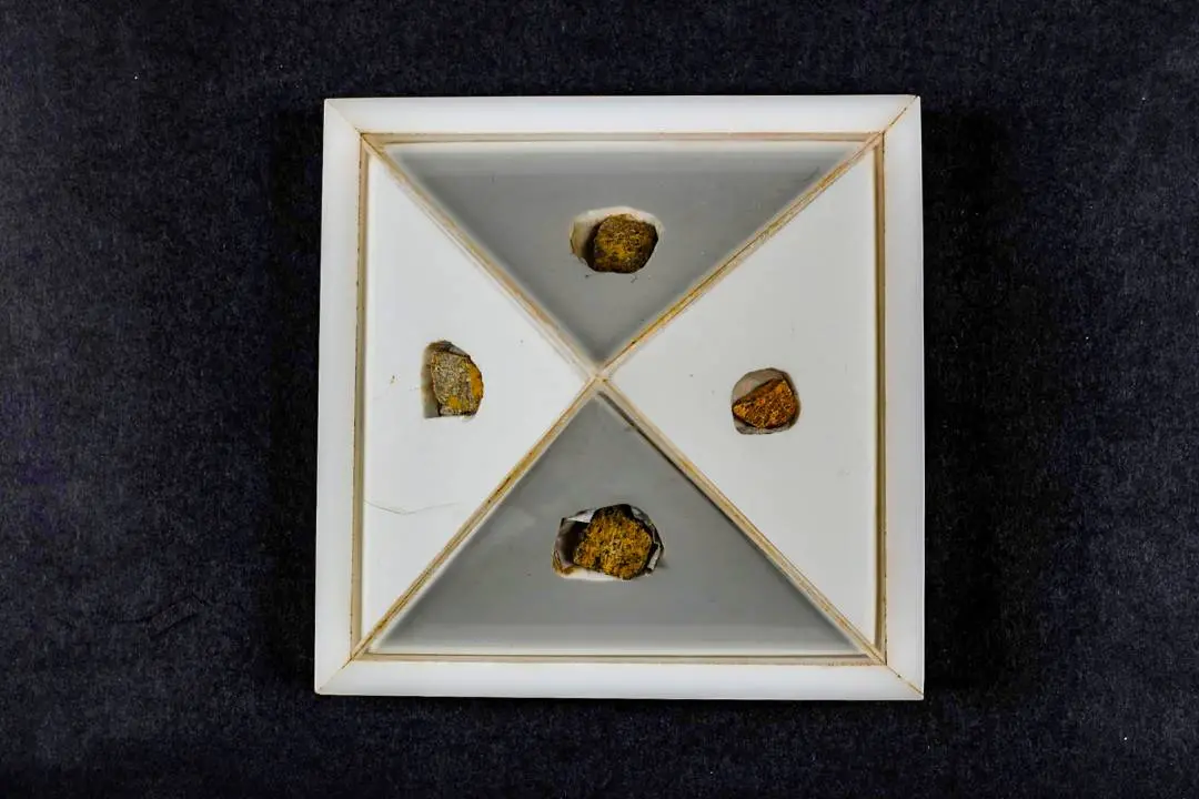 The case containing four pieces of the Holy Relics of Lord Buddha