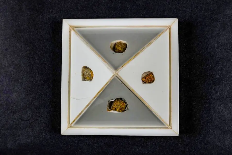 Relics of Lord Buddha on sacred journey to Thailand from India
