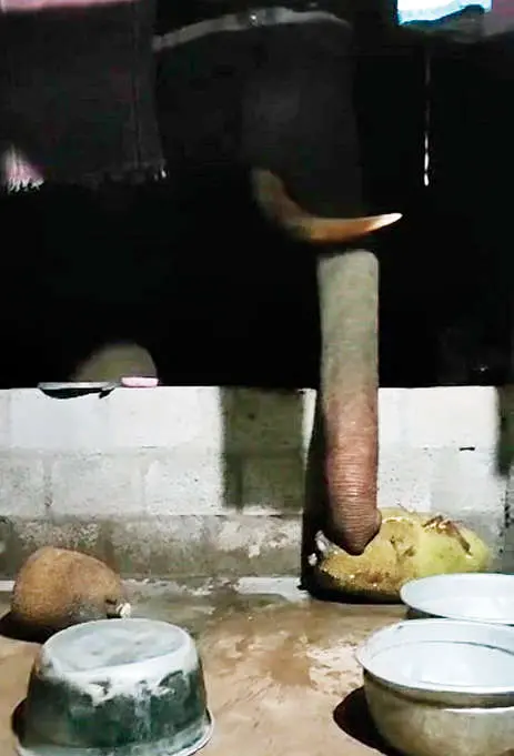 The image captured by the residents