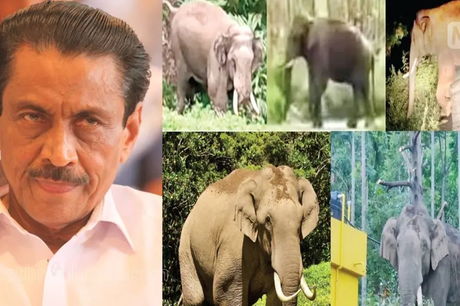 I know people who can shoot down wild elephants, says Congress Idukki president, triggers row