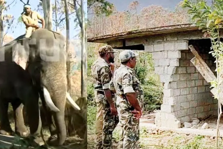 Mission Arikomban: Dummy ration store set up to lure wild jumbo, kumki elephant arrives