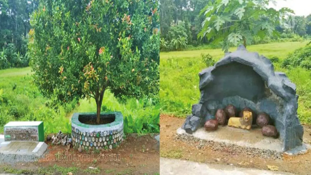 കോലഞ്ചേരി സെയ്ന്റ് പീറ്റേഴ്‌സ് ഹയര്‍ സെക്കന്‍ഡറി സ്‌കൂളിലെ നാഷണല്‍ സര്‍വീസ് സ്‌കീം വിദ്യാര്‍ഥികള്‍ കക്കാട്ടുപാറയില്‍ തുമ്പേപ്പീടികയില്‍ പാഴ്വസ്തുക്കള്‍ ഉപയോഗിച്ച് നിര്‍മിച്ച ഇക്കോബ്രിക് പാര്‍ക്ക്