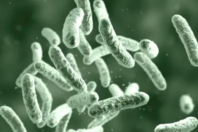 Boy diagnosed with Shigella in Kollam, suspicion that brother died of same disease