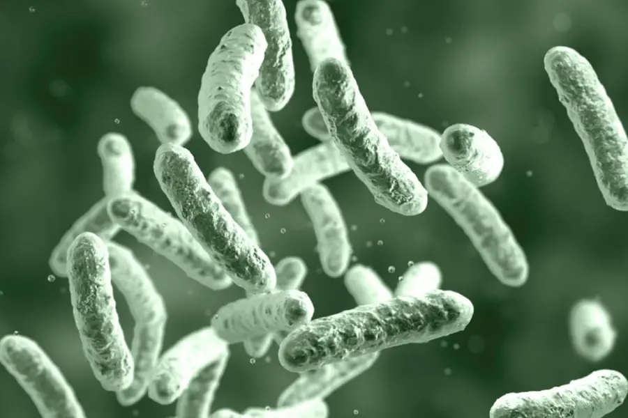 Boy diagnosed with Shigella in Kollam, suspicion that brother died of same disease