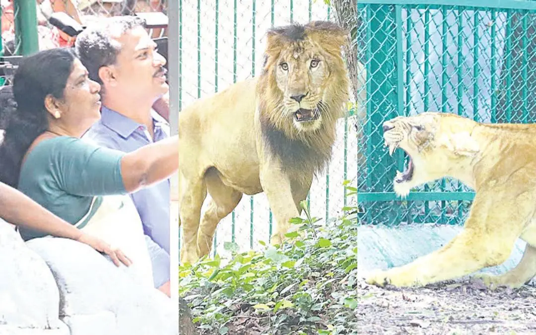 Chinchu Rani, Leo, Nayla | Photo: Mathrubhumi