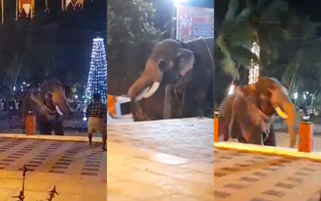 Visuals of the incident. | Photo: Screen grab