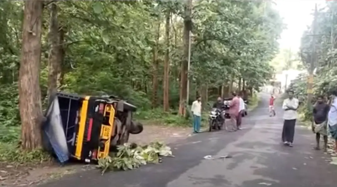 പന്നിയെ ഇടിച്ച് നിയന്ത്രണം നഷ്ടപ്പെട്ട് മറിഞ്ഞ ഓട്ടോ, അപകടത്തില് വനിതാ ഡ്രൈവര് മരിച്ചു