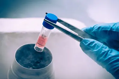 Testing for Nipah, a tedious procedure