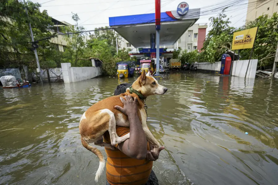 Death toll rises to 12; Boats and tractors used in rescue efforts in rain-hit Chennai