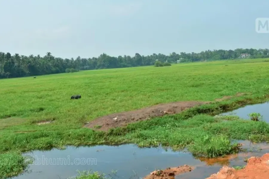 Revise fair value of land every 5 years: Reforms panel recommends Kerala govt