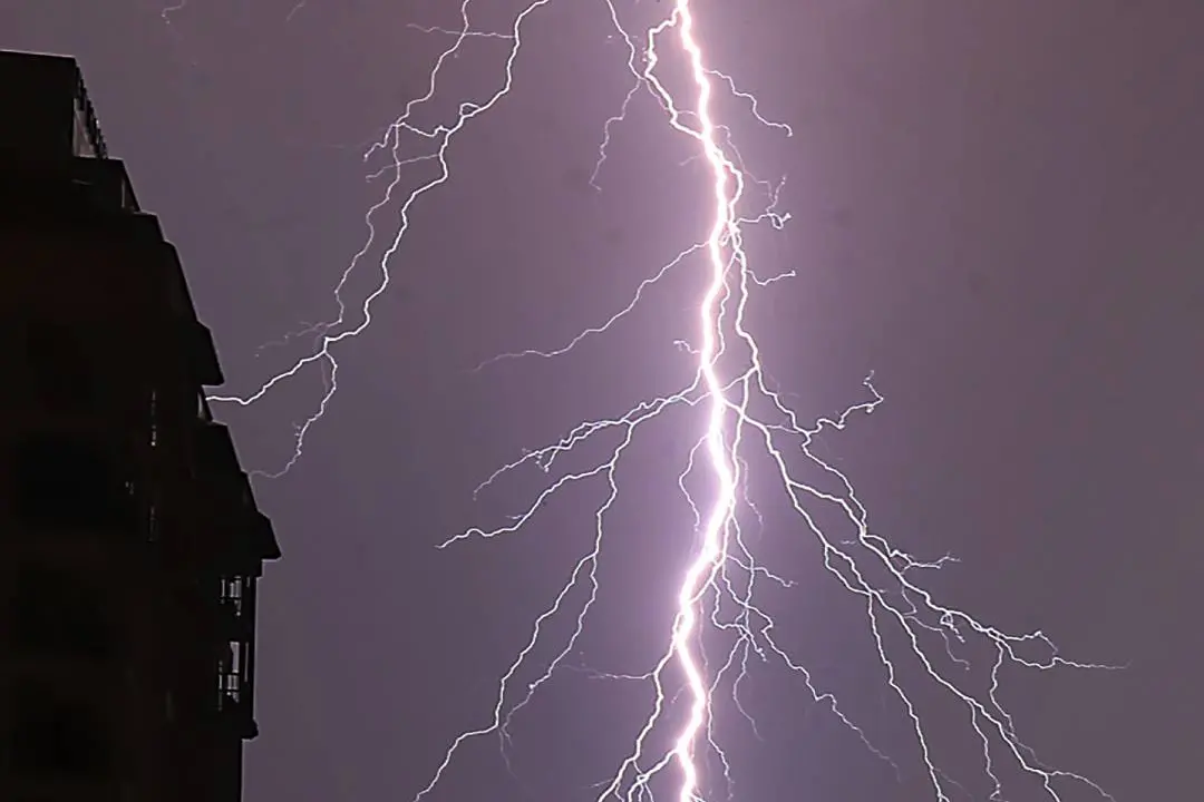 20 killed in lightning strikes amid unseasonal rains in Gujarat; Amit Shah expresses grief