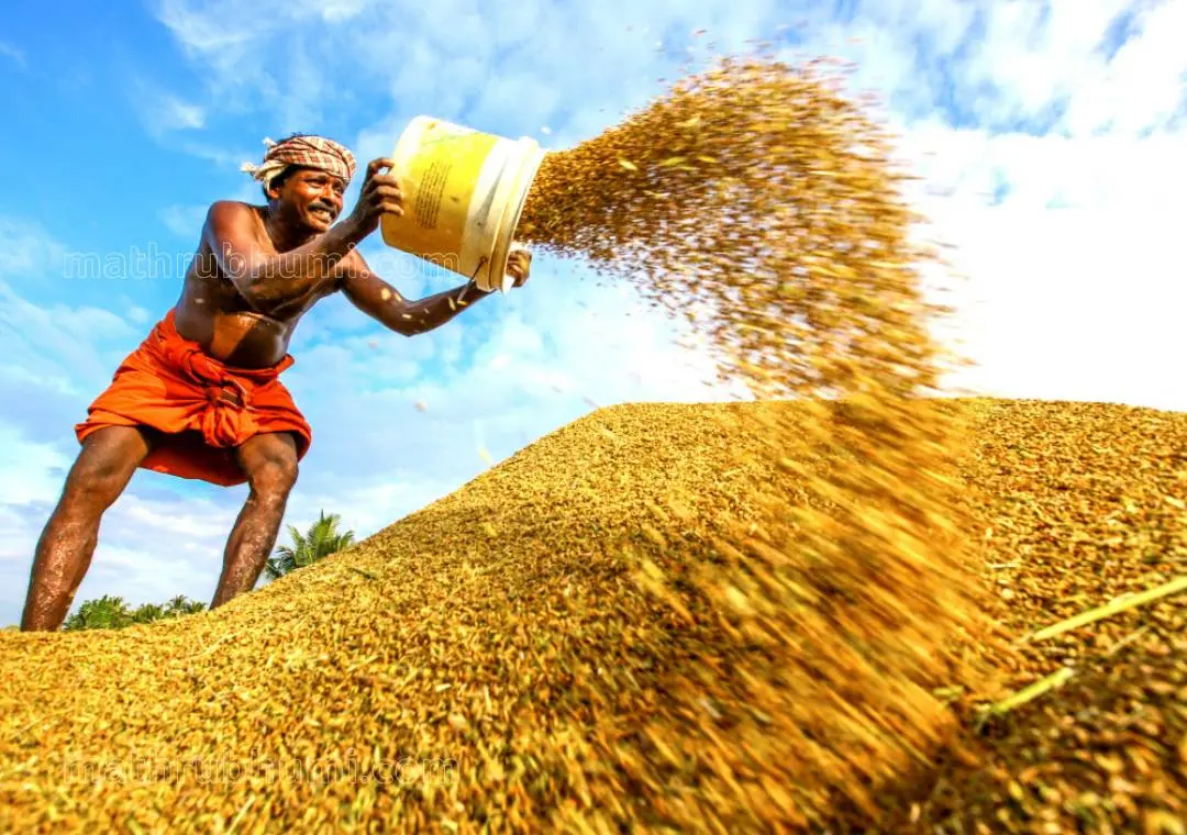 Representational Image | Photo: Mathrubhumi