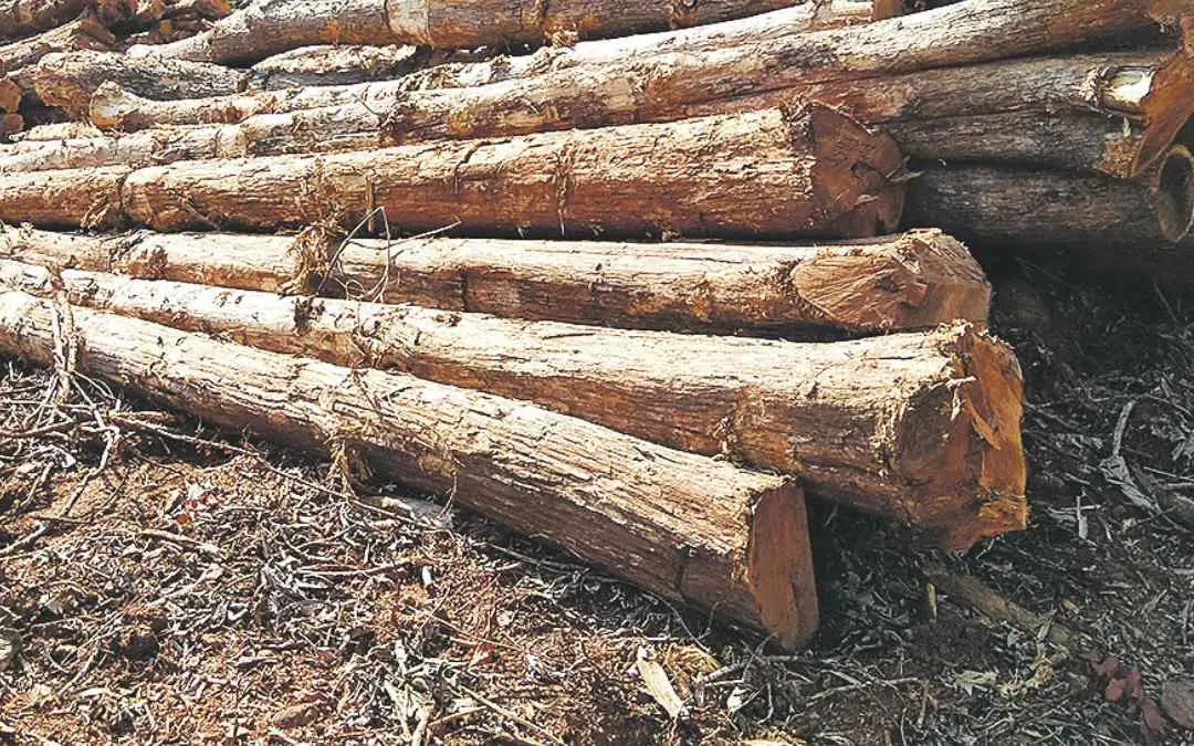 Representational Image  | Mathrubhumi
