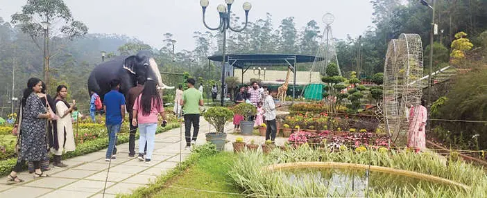 Botanical garden, Idukki. (File Photo)