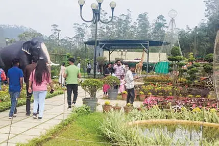 Idukki turns hotspot for tourists during Puja holidays