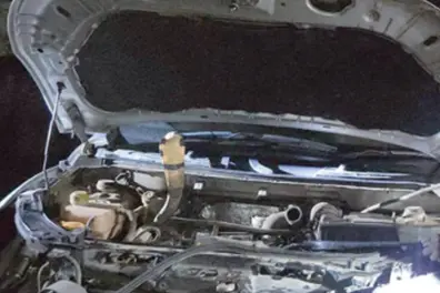 Kollam: Venomous snake hides inside car bonnet for almost 36 hours