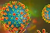 Nipah may become a pandemic: Nature journal publishes article regarding possible mutation of virus