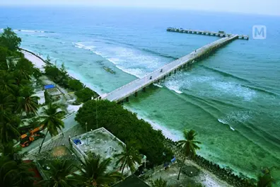 Lack of veterinary doctors: Lakshadweep administration remains aloof despite HC order