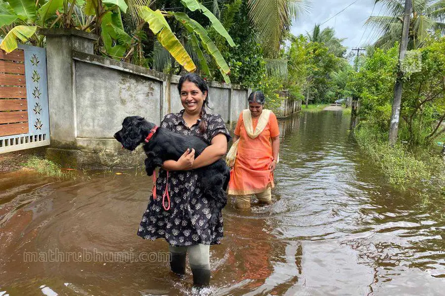 Incessant rains: Several areas waterlogged in Upper Kuttanad