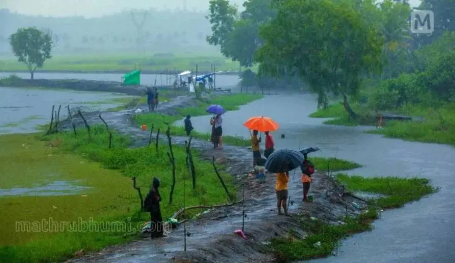 Representational image | Photo: Mathrubhumi