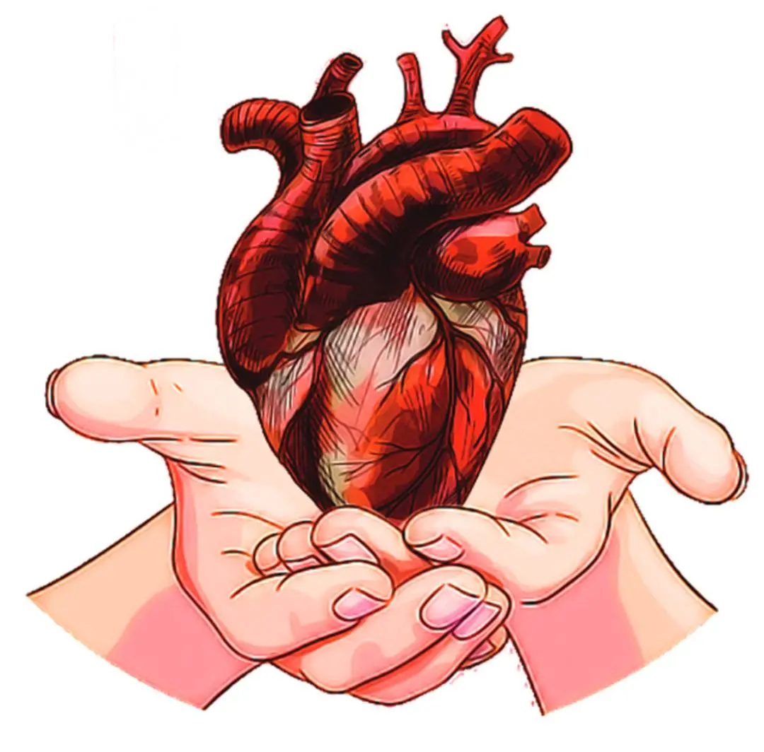 Illustration | Photo: Mathrubhumi