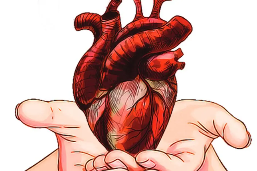 TAVI - A simpler and less risky way to treat aortic stenosis in elderly