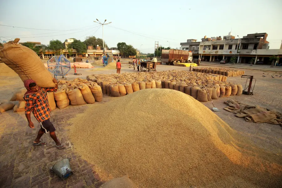 Subsidy fraud in rice procurement, crores swindled