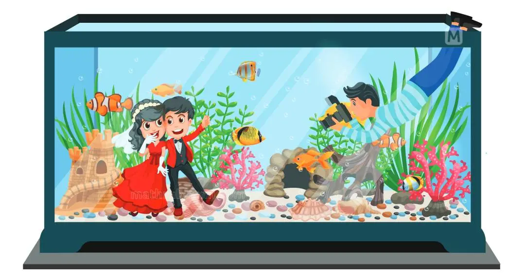 Wedding- Illustration