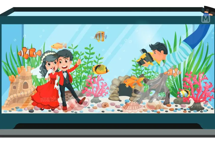 Kerala's 5 places for Destination Weddings