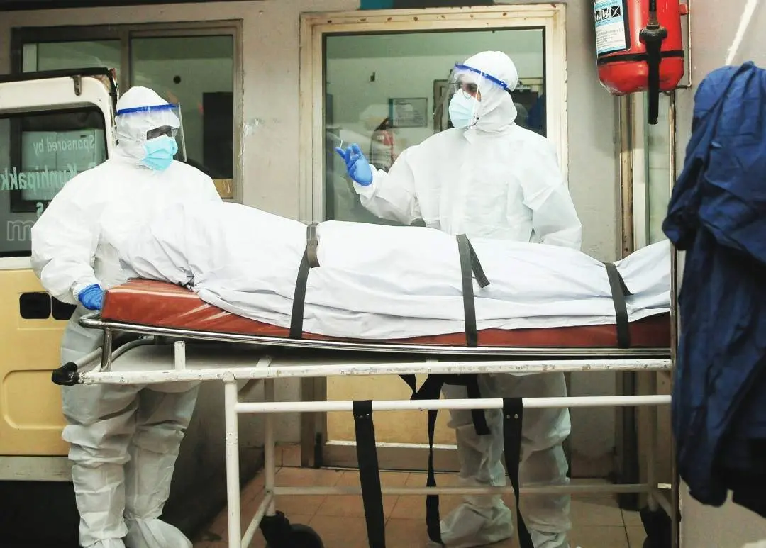 nipah death