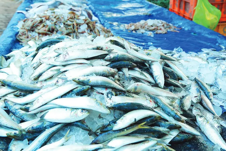 Local bodies exempted from repaying money disbursed for renovating fish markets