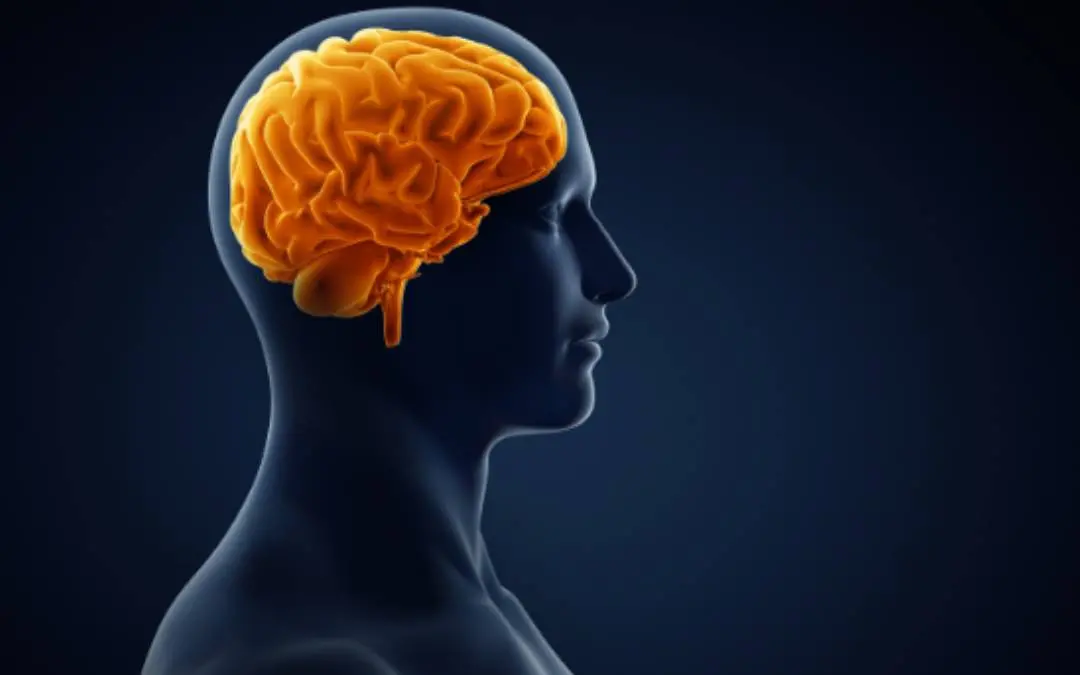 Representational Image | Canva