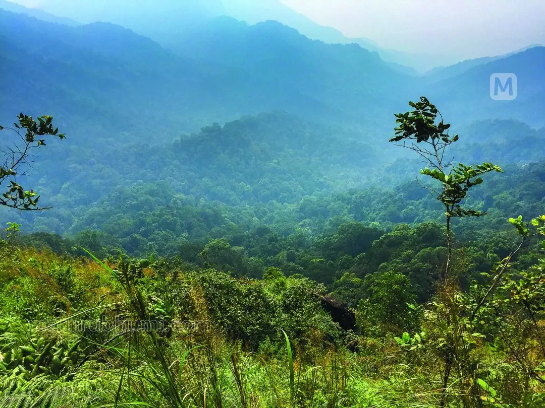 Representational Image | Mathrubhumi