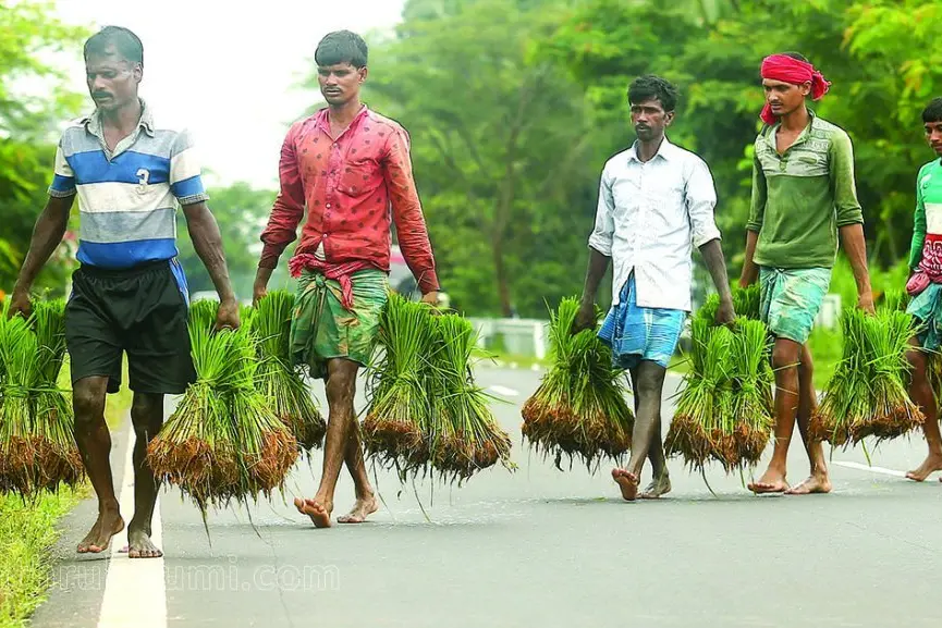 Kerala to use Ration Right Card registration to enumerate migrant workers in state