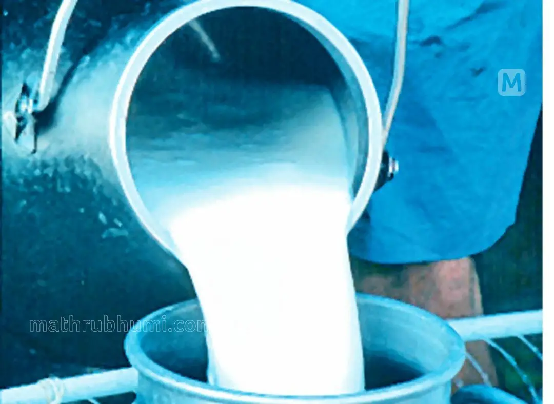 Representational Image | Mathrubhumi