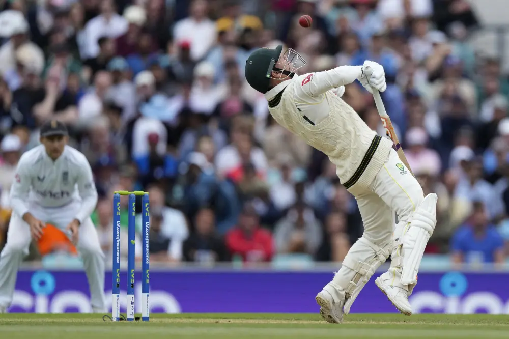 David Warner | AP