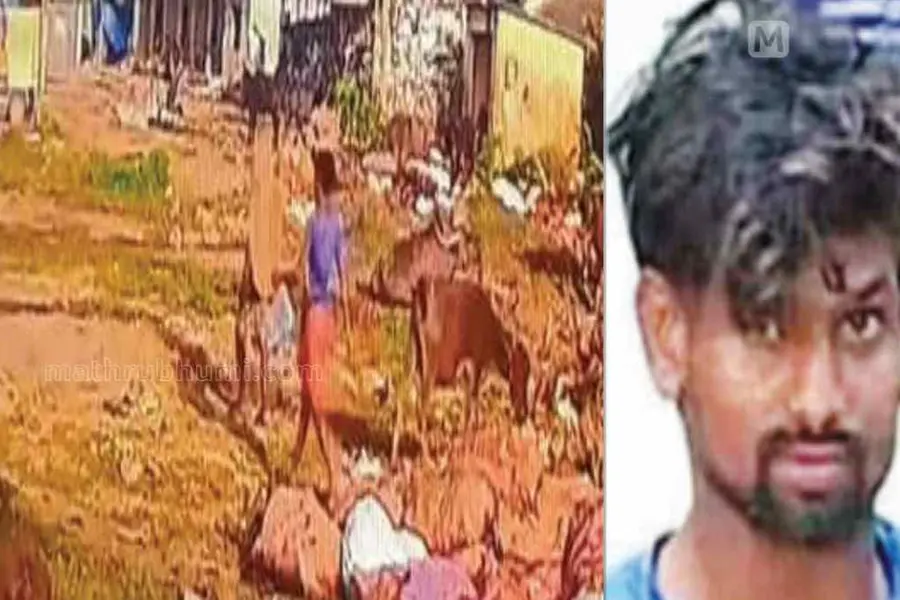 CCTV footage captured movements of accused; tried to mislead investigation with conflicting versions
