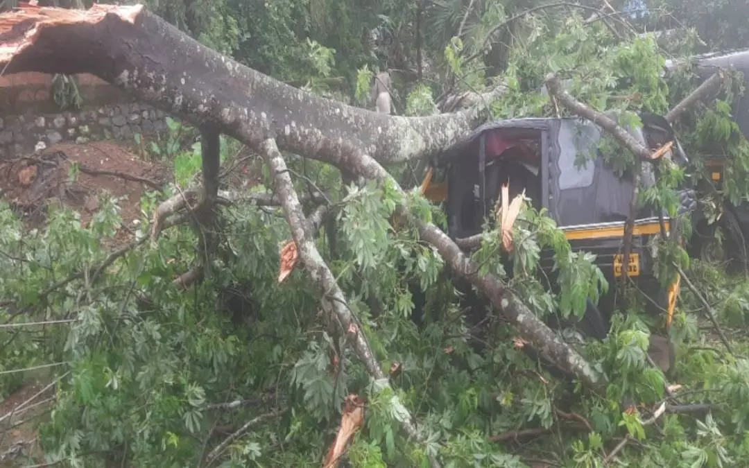 Sudden onset cyclone in Cheruplassery