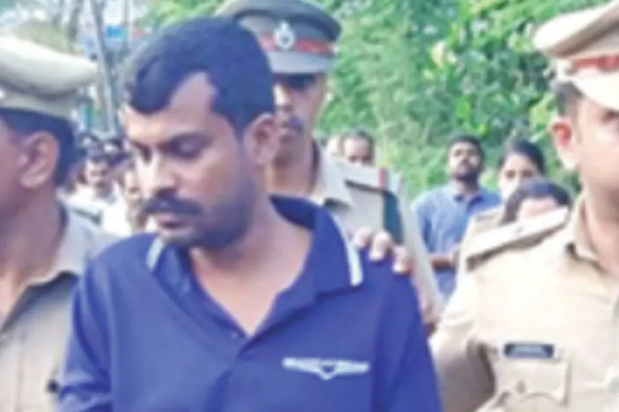 Wild elephant buried on private property in Thrissur: police submit report to magistrate court