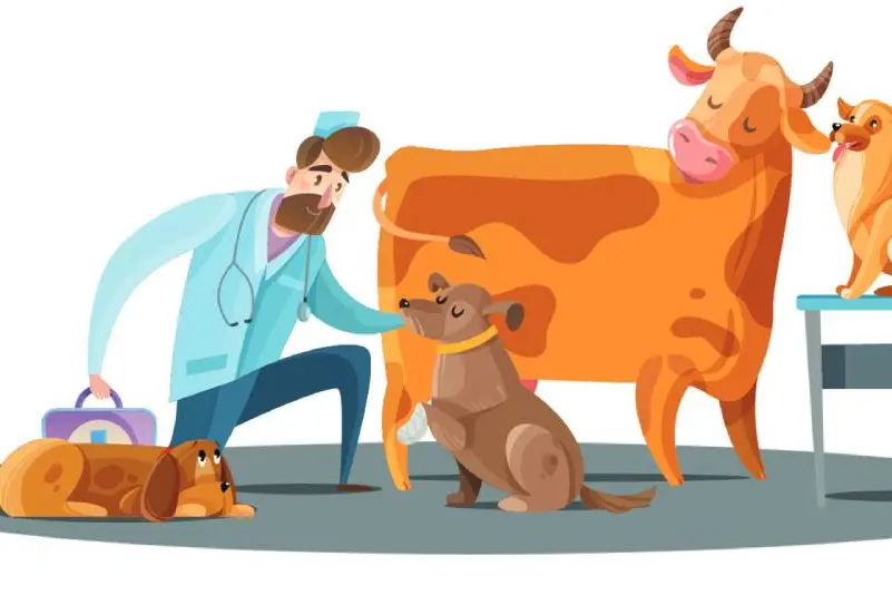 Mobile veterinary clinics to run services in Kerala from September