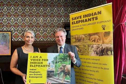 Indo-Canadian biologist takes up cudgels for Indian elephants in UK Parliament