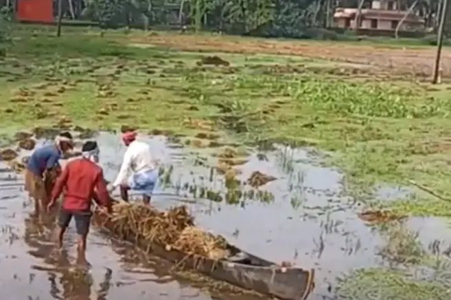 Rain wreaks havoc in Kozhikode, farm losses estimated over Rs 5.67 crores