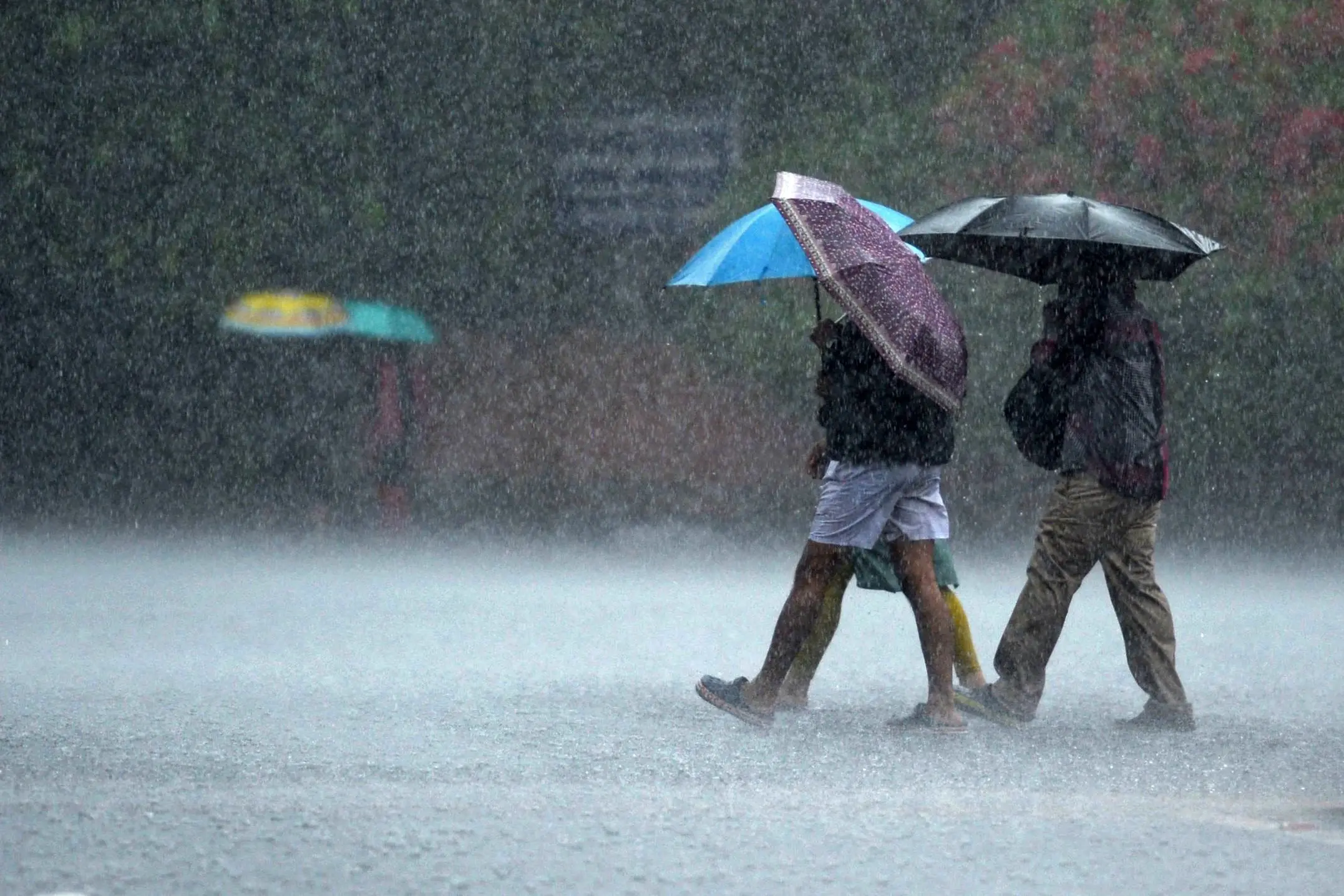 Representational Image | Photo: AFP
