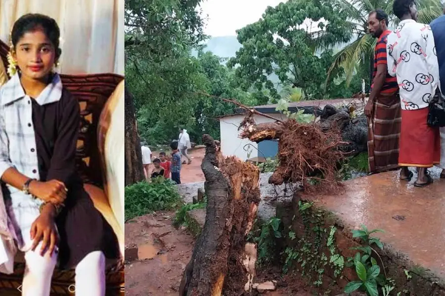 Kasaragod: 11-year-old dies as tree falls on her while returning from school; another kid injured