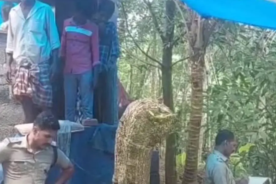 Firecracker explodes in hands of Kollam native, severally injured